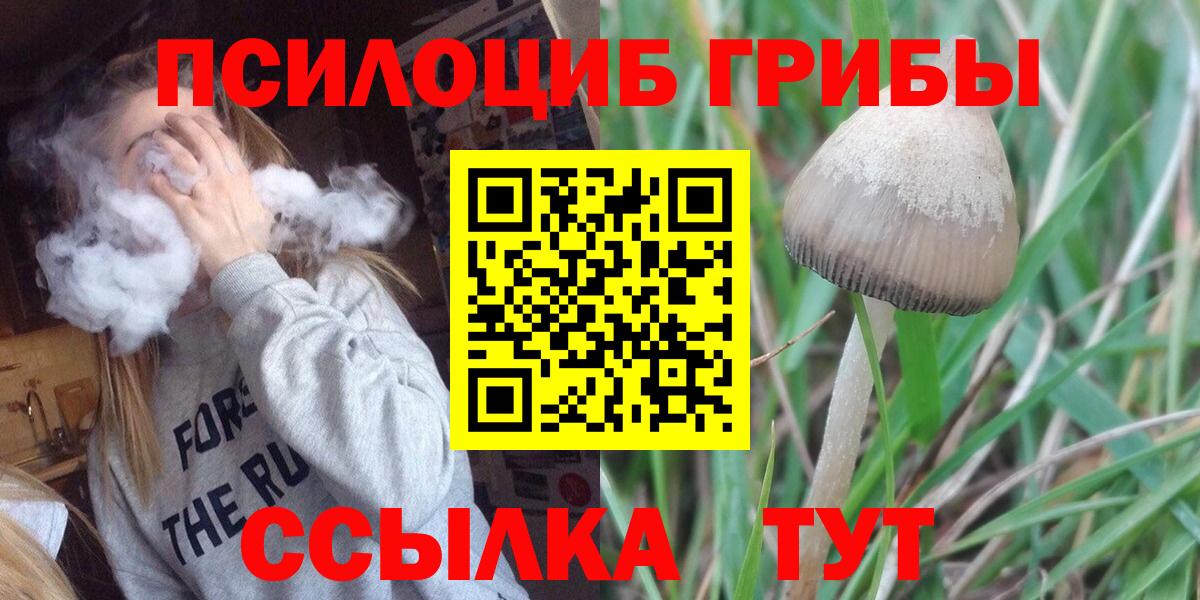 Псилоцибиновые грибы Cubensis  Вход с VPN  Тольятти 