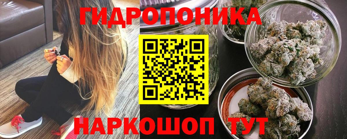 Конопля гибрид Тольятти